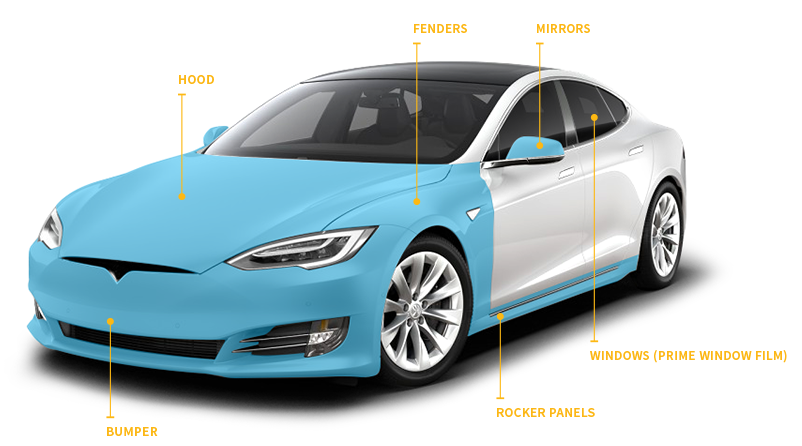 Tesla Paint Protection Film (PPF) Xpel Raleigh, Durham, Cary, NC